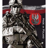 Przypinka / znaczek metalowy Orzeł Militarny Haasta