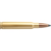 Amunicja 30-06 SPRING SIERRA S&B 11.7 g 2160
