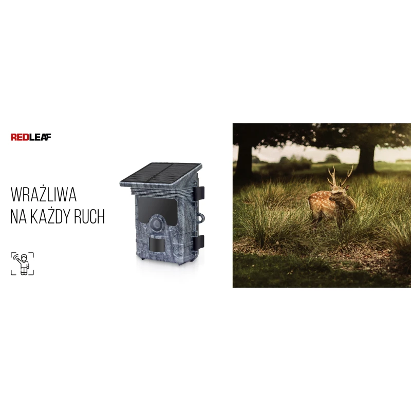 Fotopułapka z panelem słonecznym Redleaf RD7000 WiFi kamera, wyprzedaż