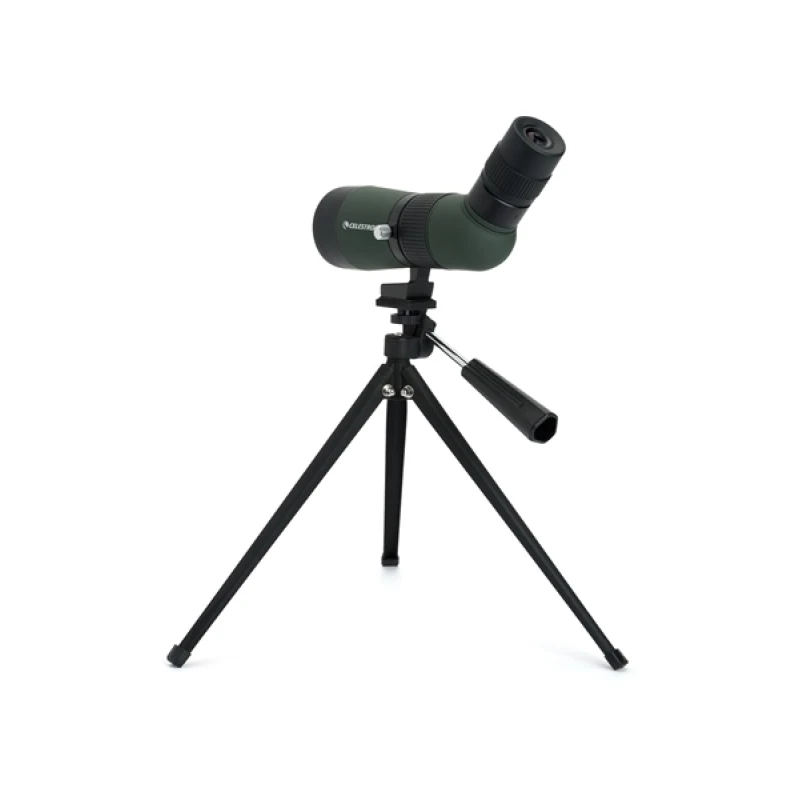 Luneta obserwacyjna 12-36x60 Celestron Land & Scout