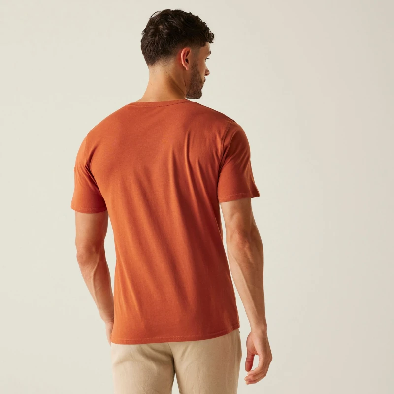 Męska koszulka Regatta Cline IX brązowa