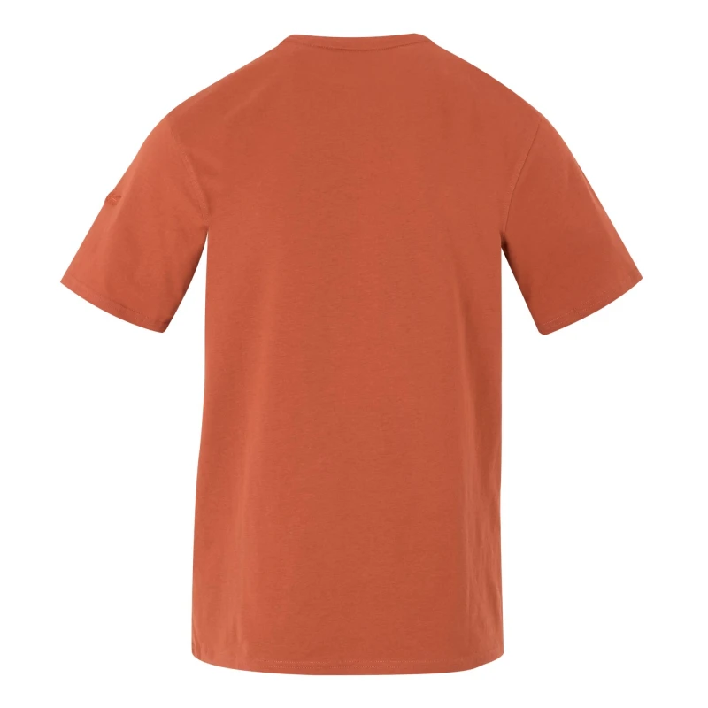 Męska koszulka Regatta Cline IX brązowa