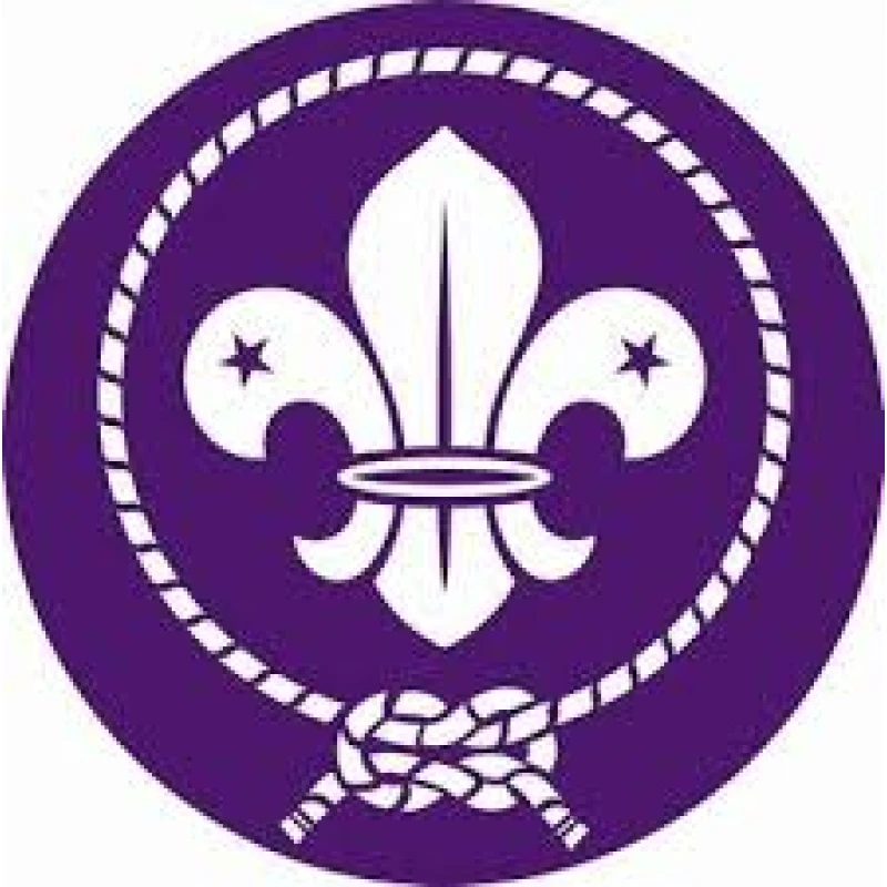 Naszywka ZHP harcerska skautowa WOSM 