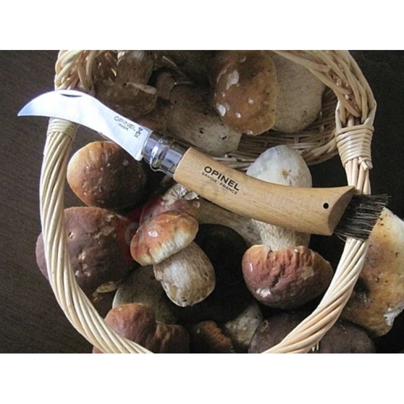 Nóż na grzyby składany Opinel No.08 inox Mushroom Knife z pędzelkiem