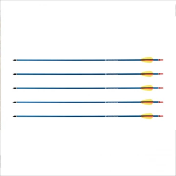 Strzała Poe Lang z aluminium 30" 5 sztuk, grot tarczowy gładki