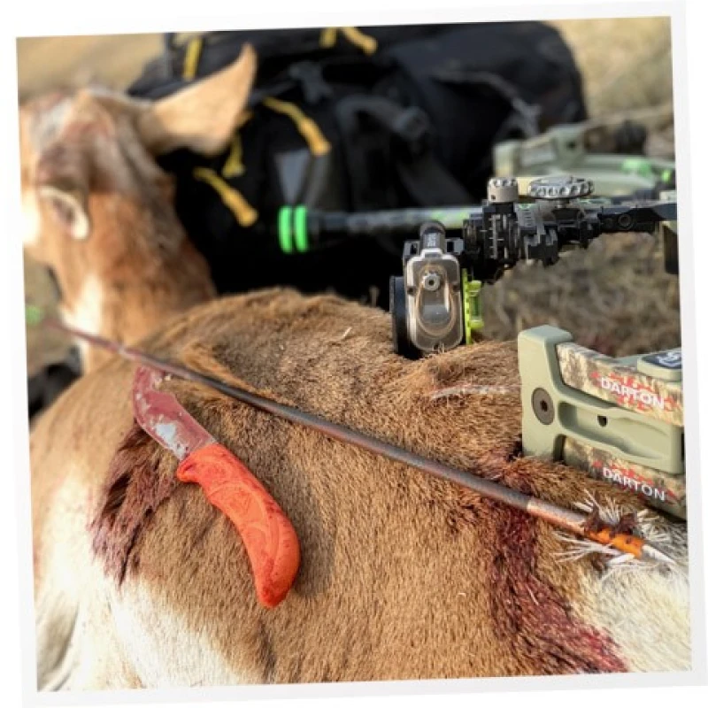 Zestaw noży myśliwskich do skórowania, filetowania Outdoor Edge WildLite WL-6